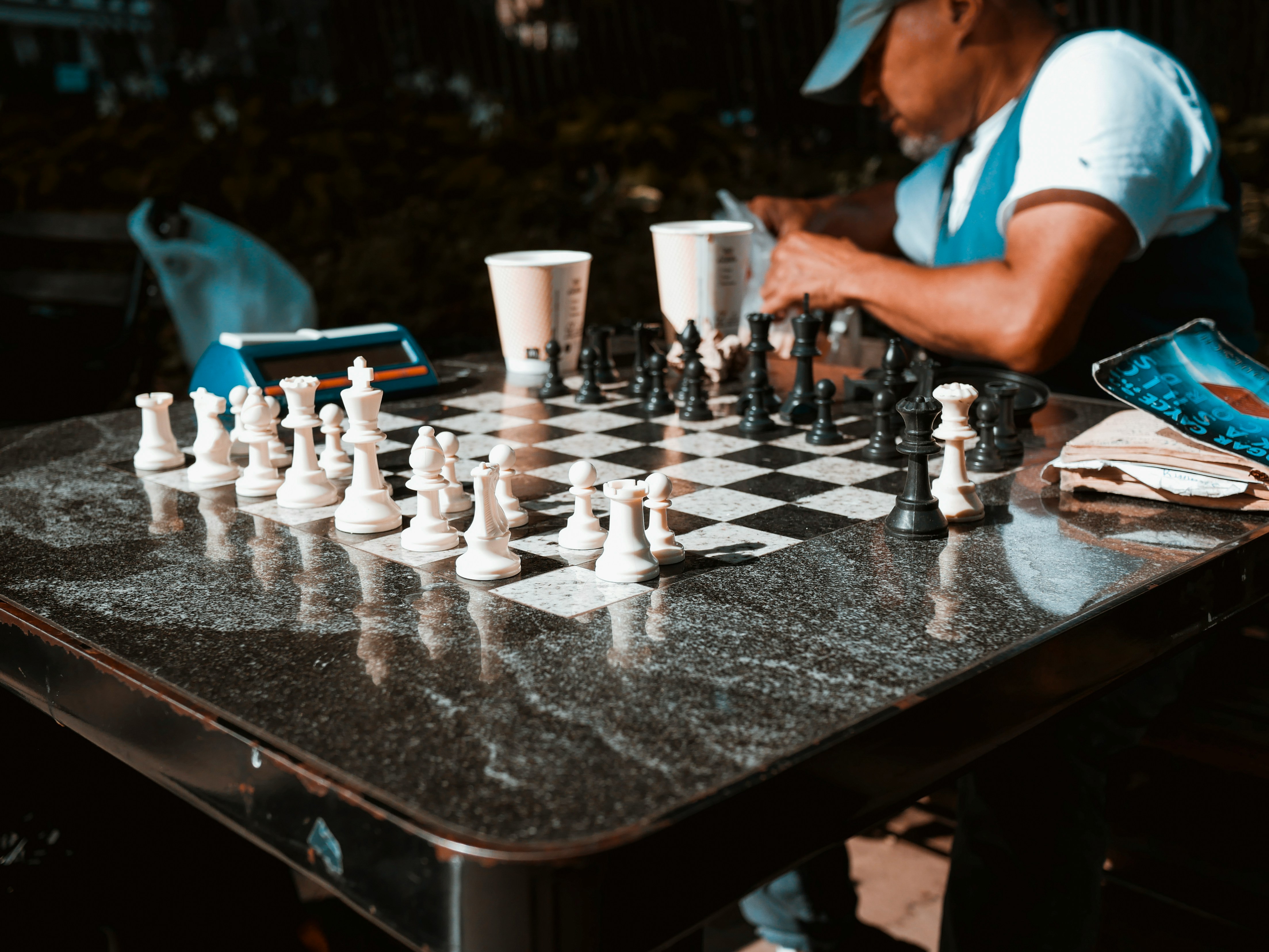 Park Chess